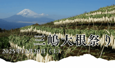 【三島市】「三嶋大根祭り」開催！
