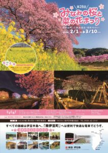 【南伊豆町】「みなみの桜と菜の花まつり」開催！