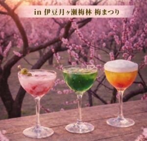 【伊豆市】梅まつりにて「天城カクテル」販売!
