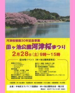 【掛川市】田ヶ池公園河津桜まつり開催！