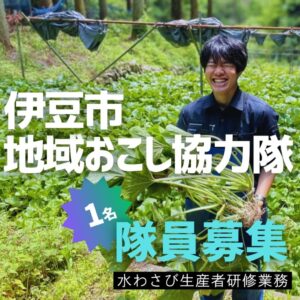 【伊豆市】地域おこし協力隊「水わさび生産者研修業務」隊員募集中！