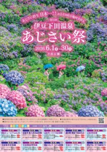 【下田市】第55回　伊豆下田温泉「あじさい祭」開催！