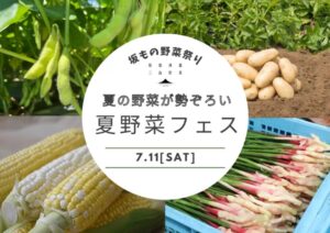 【三島市】今が旬！坂もの夏野菜とみしまコロッケを食べつくせ！「夏野菜フェス」開催！