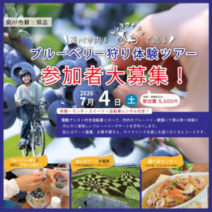 【菊川市】 ブルーベリー狩り体験ツアー　参加者大募集！！