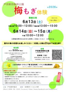 【沼津市】「新田梅林公園　梅もぎ体験2026」開催！