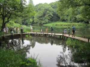 【清水町】柿田川「夏の自然観察会」参加者募集中！