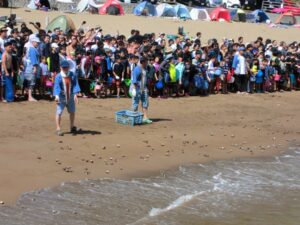 【松崎町】「雲見温泉サザエ狩り」開催！