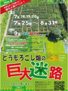 【函南町】オラッチェ「とうもろこし畑の巨大迷路2026」開催！
