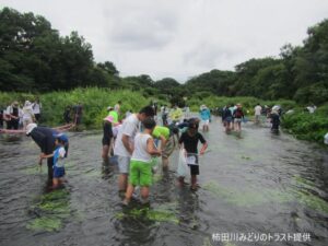 【清水町】柿田川「水に親しむ集い」参加者募集中！
