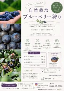 【富士市】スマイルベリーファーム ~自然栽培ブルーベリー狩り~