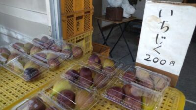 【島田市】神座の無人販売 イチジク販売してます!!