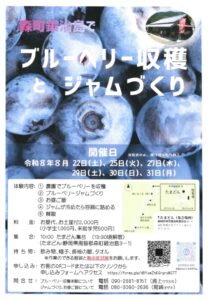 【森町】ブルーベリーの収穫とジャムづくり参加者募集!(森町天方鍛治島地区)
