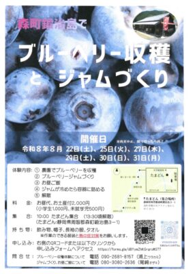 【森町】ブルーベリーの収穫とジャムづくり参加者募集!(森町天方鍛治島地区)