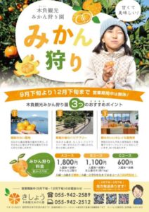 【沼津市】「木負観光みかん園」開園！